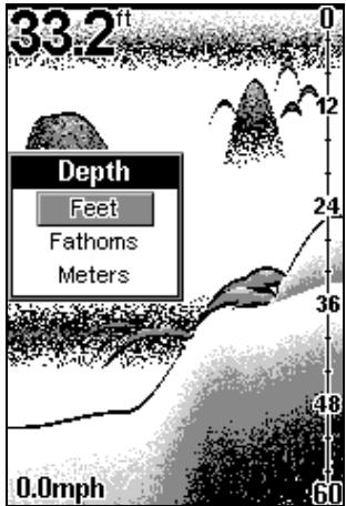 EAGLE FISHEASY 2T - UNITÉS DE MESURE DE LA PROFONDEUR - 1