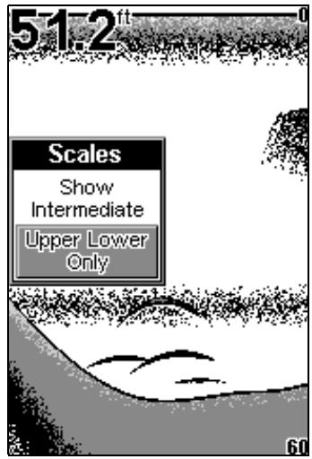 EAGLE FISHEASY 2T - ÉCHELLES (SCALES) - 2