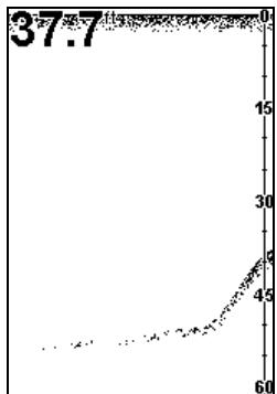 EAGLE FISHEASY 2T - SENSIBILITÉ (SENSITIVITY) - 2