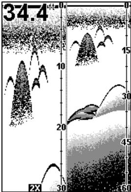 EAGLE FISHEASY 2T - GRAPHIQUE ENTIER (FULL CHART) - 2