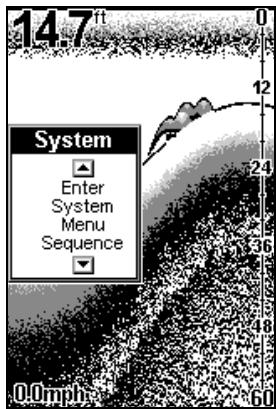 EAGLE FISHEASY 2T - RÉGLAGE DU SYSTEMÉME (SYSTEM SETUP) - 1