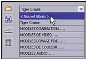 ARCSOFT SHOWBIZ DVD 2.1 - ALBUMS - 2
