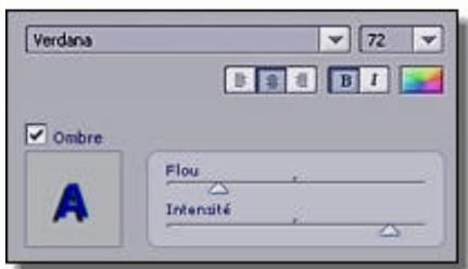 ARCSOFT SHOWBIZ DVD 2.1 - PERSONALISATION DU TEXTE DU MENU - 1