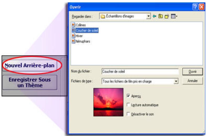 ARCSOFT SHOWBIZ DVD 2.1 - CHOIX D'UN NOUVEAU FOND - 3