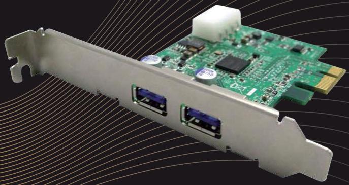 DANE-ELEC XPRESS CARD - Carte Xpress - 1