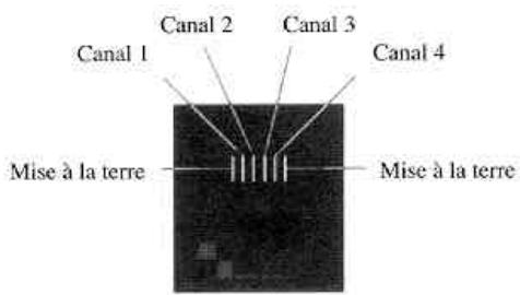 PEAVEY LICON 416 - Disposition des broches de la prise téléphonique - 1
