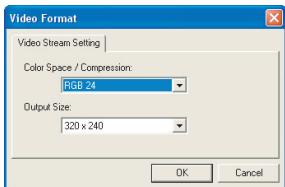 AIPTEK POCKET DV 8800 - Configuring format options - 1