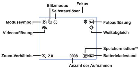 AIPTEK POCKET DV 8800 - Lesen der LCD-Anzeigen - 1