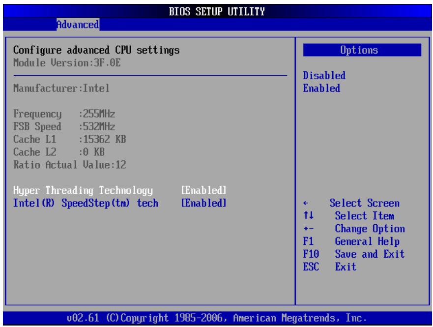 VIEWSONIC VPC100 ALL-IN-ONE - CPU Configuration - 1