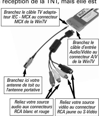 HAUPPAGE HVR-1400 - Connection des cables - 1