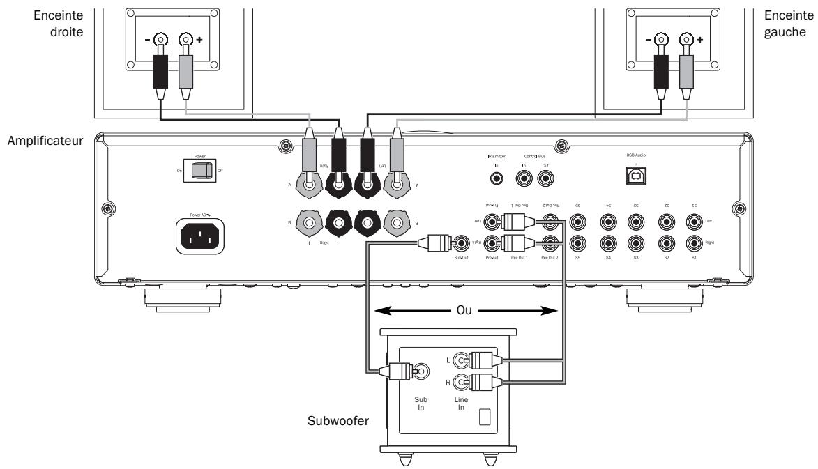 CAMBRIDGE AUDIO AZUR 651A - Raccordements de la sortie préampli - 1