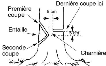 POULAN 1630 - COUPE D'ENTAILLE ET ABATTAGE DE L'ARBRE - 1