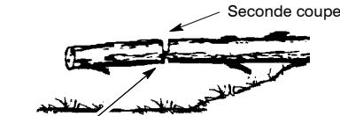 POULAN 1630 - TECHNIQUES DE TRONÇONNAGE - 5
