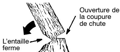 POULAN 2250 - COMMENT FAIRE L'ENTAILLE ET ABATTRE L'ARBRE - 2