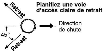 POULAN 2250 - TECHNIQUES POUR ABATTRE LES ARBRES - 1