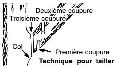 POULAN 2250 - POUR TAILLER - 1