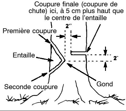 POULAN 2250 - COMMENT FAIRE L'ENTAILLE ET ABATTRE L'ARBRE - 1