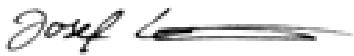 KRESS 900 WTSE - GB CE Declaration of conformity - 1