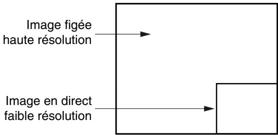 NEC DT20 - Affichage de l'image en direct dans la fenêtre - 1