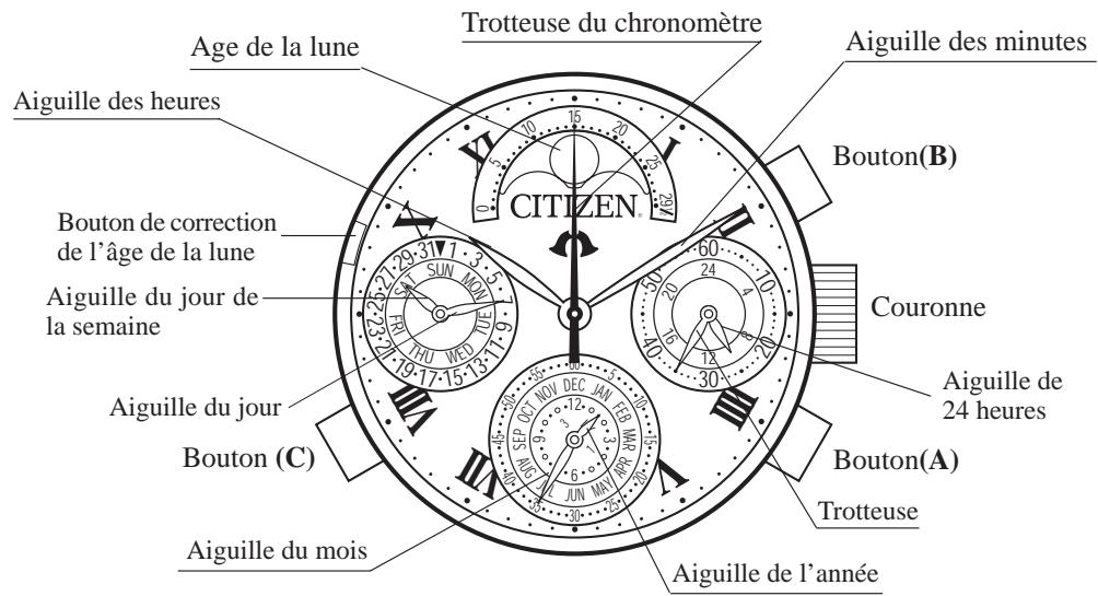 CITIZEN WATCH 677 - Désignation des éléments - 1