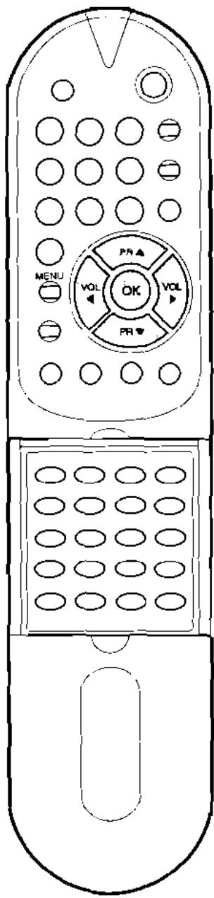 GOLDSTAR 230C TX - Mémorisation des chaînes - 1