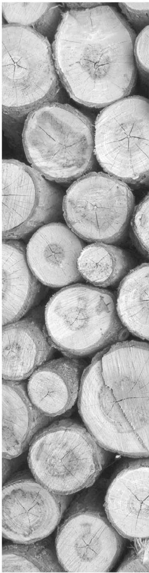 ATIKA KSL 2401-40 - Pred vsakim odpravljanjemotnj - 3