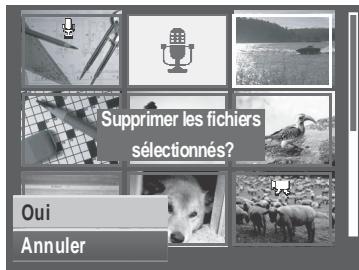 AGFAPHOTO COMPACT 100 - Supprimer - 5