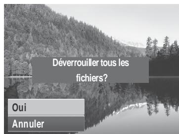 AGFAPHOTO COMPACT 100 - Pour protégé des fichiers : - 6