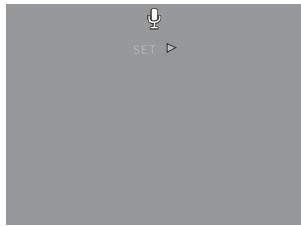 AGFAPHOTO COMPACT 100 - Modifier l'affichage de I'écran LCD - 8
