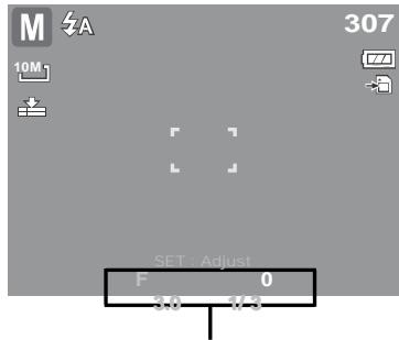 AGFAPHOTO COMPACT 100 - Utilisation du mode Exposition manuelle - 3