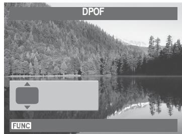 AGFAPHOTO COMPACT 100 - DPOF - 2