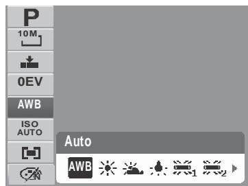 AGFAPHOTO COMPACT 100 - Balance des blancs - 1