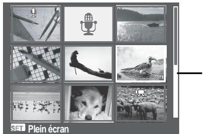 AGFAPHOTO COMPACT 100 - Afficher les miniatures - 1