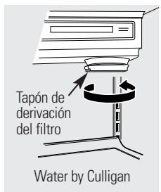 GE SIDE-BY-SIDE REFRIRATOR 23 - Tapón de derivación del filtró - 2
