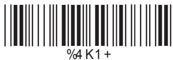 COMET LABS LECTEURS DE CODES BARRES - Configuration du code 93 - 3