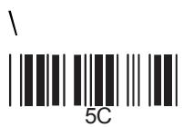 COMET LABS LECTEURS DE CODES BARRES - Appendice b table ASCII - 31