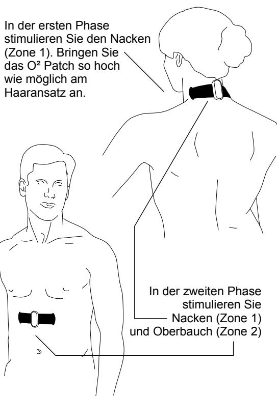 IBP WL-2405 - So führen Sie die Sitzung durch - 3