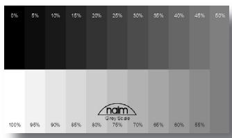 NAIM N-VI - Mire d'échelle de gris (grey scale test pattern) - 1