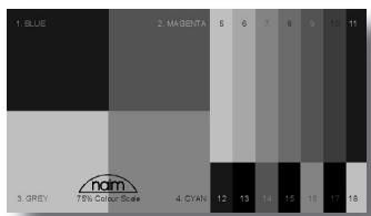 NAIM N-VI - Mire de barres couleurs de 75% (75% colour scale test pattern) - 1