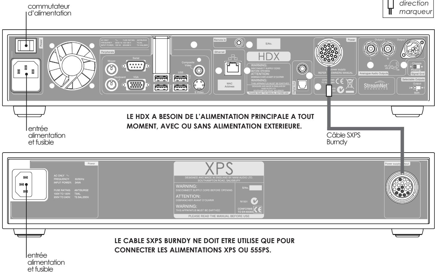 NAIM HDX - Sortie analogue Phono (sortie 2) - 1