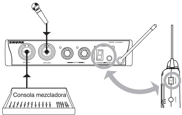 SHURE PSM200 - Sistema inalámbrico PSM®200 - 3