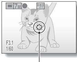 LOGICOM-SANYO XACTI VPC-E7 - Lorsque le chercheur AF est seLECTIONné... - 1