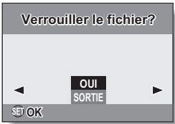 LOGICOM-SANYO XACTI VPC-E7 - PROTECTION DES IMAGES - 1