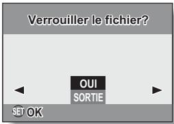 LOGICOM-SANYO XACTI VPC-S70 - PROTECTION DES IMAGES - 1