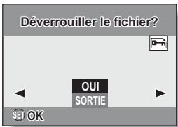 LOGICOM-SANYO XACTI VPC-S70EX - PROTECTION DES IMAGES - 2