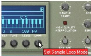PROPELLERHEAD REASON - Bouclage des échantillons (mode Loop) - 1