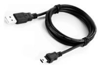 KINGSTON WID - 凹的: - 2