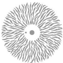 MARTIN MAC 700 PROFILE - Roue d'animation - 1