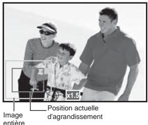 FERRANIA SD-825 - Lire des images fixes - 1