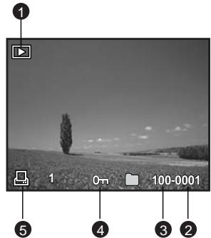 FERRANIA SD-825 - Mode lecture [E] - lecture d'image fixe - 1